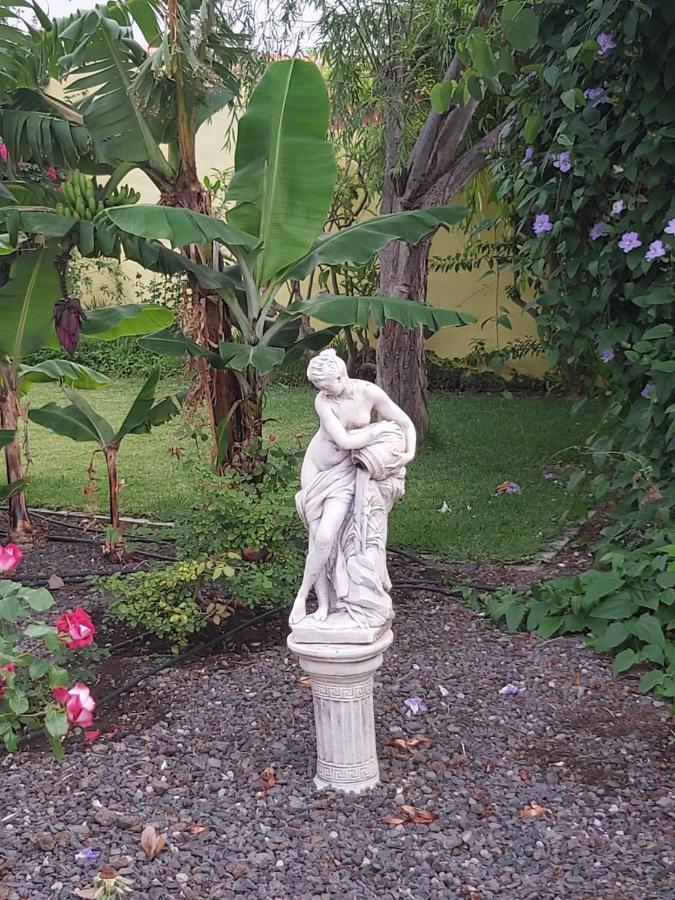 Mi Jardin Villa Frontera Kültér fotó