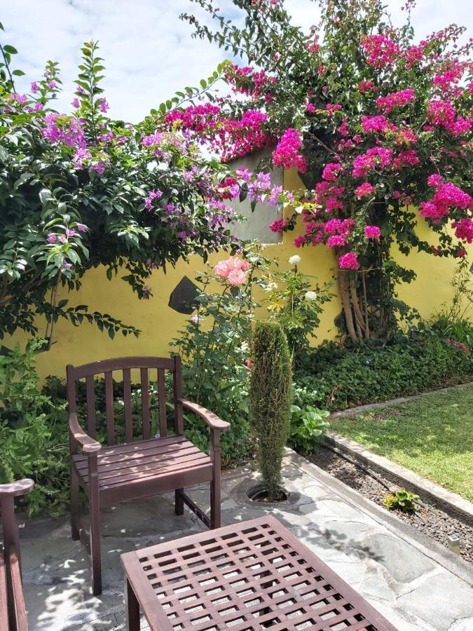 Mi Jardin Villa Frontera Kültér fotó