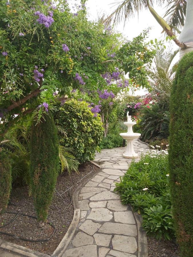 Mi Jardin Villa Frontera Kültér fotó