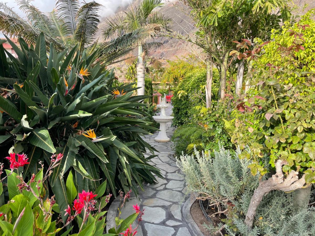 Mi Jardin Villa Frontera Kültér fotó