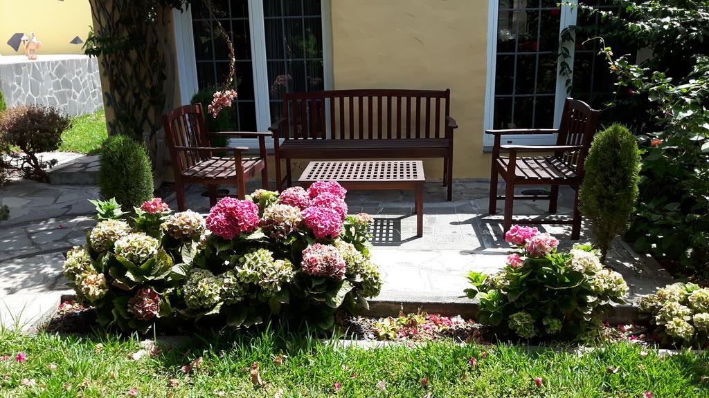 Mi Jardin Villa Frontera Kültér fotó