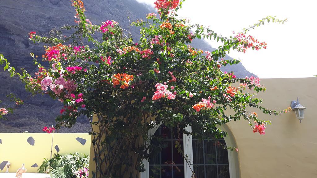 Mi Jardin Villa Frontera Kültér fotó